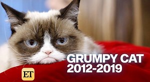 Some days are grumpier than others... RIP, Grumpy Cat. ❤️ | Entertainment Tonight