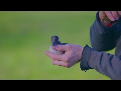 The YES Method: Chapter 2 - Orient the Question