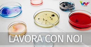 Avient lavora con noi: posizioni aperte novembre 2021 - The wam