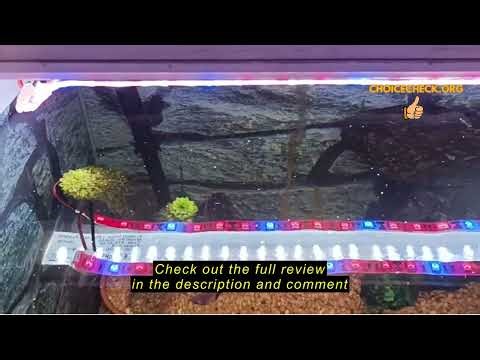 Review Tesfish LED Plant Grow Strip Light IP65 Waterproof Full Spectrum SMD 5050 Red Blue 3:1 Rope L