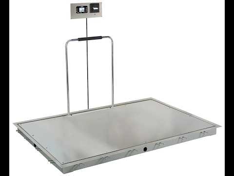 Detecto 7248SH Hospital-Grade Dialysis Scale Review: Built for Accuracy & Accessibility