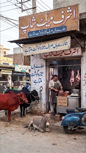 Exploring the Unique Mix of Donkey and Bull Meat