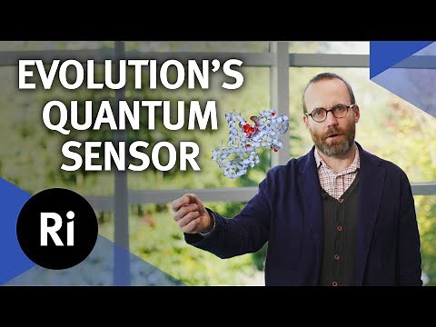 How animals can sense the earth's magnetic field - with NPL