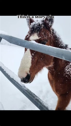 ☆~♡Addison Smith♡~☆ (@addison.smith356)’s videos with original sound - 𝑩𝒓𝒐𝒐𝒌𝒊𝒆🤿🫧