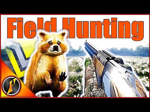 Hunting The Fields of Mississippi & Finding a Diamond Blonde Raccoon!