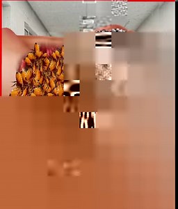 Get rid Trypophobia & Fleas infected Foot | Lline Theodora