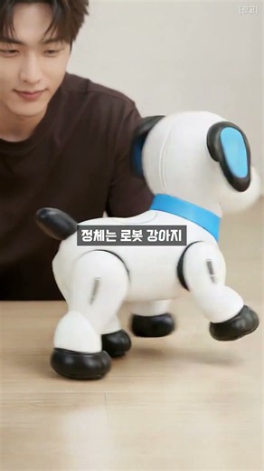 진짜 강아지인 줄 알았죠? 이 로봇 강아지, 움직임이 예술이네! 🐶
