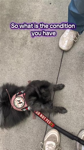 Pause If you need more time to read! Today I'll be talking about one of my medical conditions that has been very challenging for me! A while back I was diagnosed with something called Postural Orthostatic Tachycardia Syndrome my autonomic nervous system doesn't regulate properly. This for me causes really bad issues with tachycardia where my heart rate will skyrocket to the 200s and a lot of issues with blood pressure. Basically if I stand up too quickly sometimes my legs will become completely 