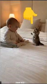 cat is very patient with my child 😸🥰🤣#shortsfeed #viralshorts #funnyshorts