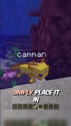 HOW TO RENAME A MOB WITHOUT A NAME TAG #minecraft #shorts