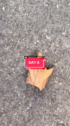 Take a Break from Daily Posting: Day 8 Reflection