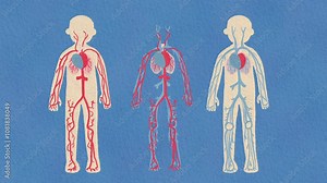 Watercolor Animation of the Circulatory System in the Human Body with Cute and Soft Colors for Educational and Medical Use Stock Video