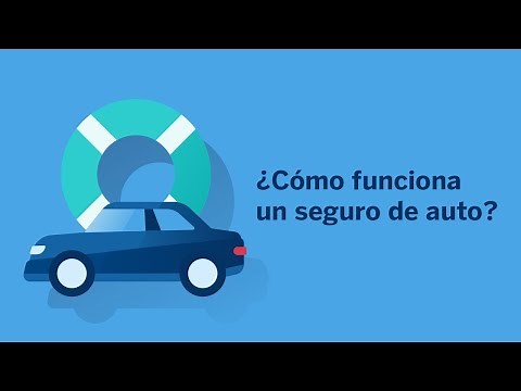 Cómo funciona un seguro de auto: Evita sorpresas y ahorra dinero