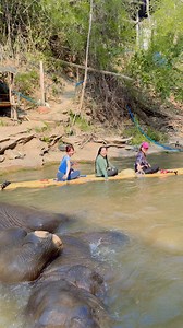 Bank Mahout😎#karen #reelsvideoシ #elephant🐘🐘 #rafting | Bank Mahout