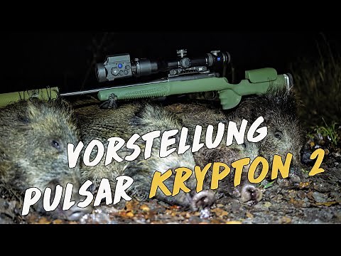 Vorstellung - Pulsar Krypton 2