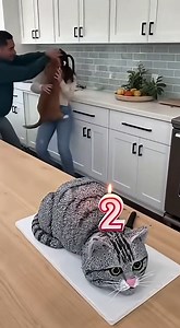 1.7M views · 9.5K reactions | 藍 She Cuts a Realistic Cat Cake  — and the Real Cat Loses Its Mind!  #Dog #Funny #Pets #Comedy #Animals #Cute #Prank #Laugh #Humor #Furry #Playful #Reaction #Meme #Clips #Shorts #PetLife #Silly #Adorable #Friends #Funtime #LOL #PetFails #Chaos #Wholesome #Fun #cat #viralpost2025シ | Meow Cats | Facebook