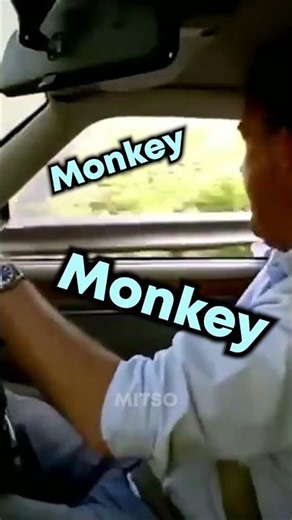 "MONKEY! MONKEY!" | Top Gear Funny Moments #shorts