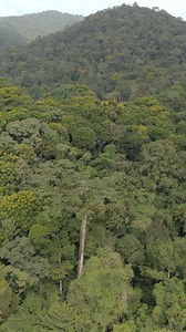 Even rainy days are magical here. Listen to the sounds of the rainforest, curl up in your bungalow, or take a peaceful walk under the canopy. Rain is part of the jungle’s rhythm—and your escape from the ordinary. | Chachagua Rainforest Hotel & Hot Springs