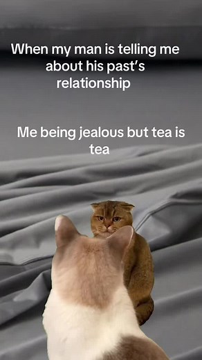 Funny Relationship Memes to Lighten Your Day