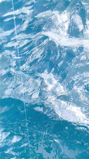 I Tried the Marine Activity "Sea Fishing" at the Okinawa Resort Hotel "The Busena Terrace." Part ...