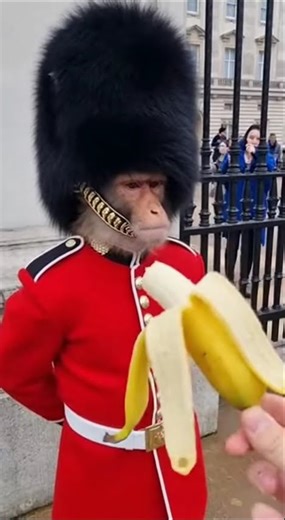 The Ultimate Royal Guard Patience Test Gone Wrong 😂🐵