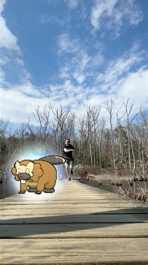 Bibarel - Pokémon catch #pokemon #videogames