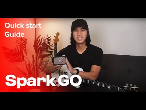 Getting Started with Spark GO