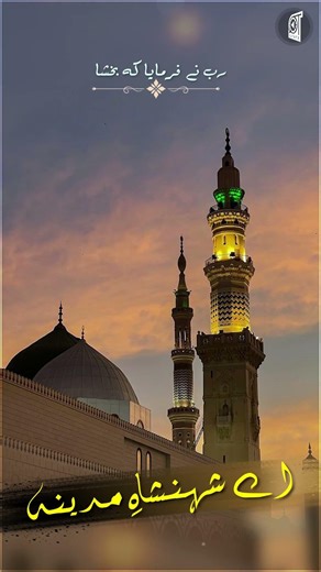 Status Video - Aye Shehenshah e Madinah ﷺ - Salaat o Salaam - Hafiz Tahir Qadri