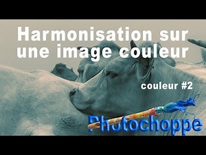 HARMONISATION COULEUR ROUE ADOBE COLOR (M17)