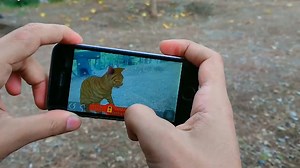 AI-based animals in AR platform will return news - Homey Hero - Augmented Reality