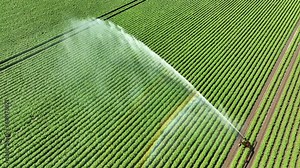 Irrigation pivot gun machine spraying water on an agricultural field during a dry sprintime day.