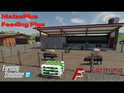 Feeding Pigs with MaizePlus - MaizePlus - FS22