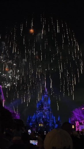 177K views · 3.3K reactions | It’s not just the fireworks—it’s the music, the castle, the moment. Pure magic. ✨ #happilyeverafter #magickingdom | Streaming the Magic | Facebook