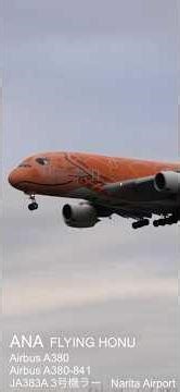 A380 世界最大 空飛ぶウミガメ/ANA FLYING HONU 3号機 ラー/Airbus A380 低空飛行 着陸へ/エアバス /成田国際空港 Narita Airport #shorts