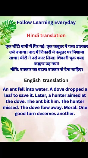 Learning everyday on Reels