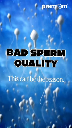 Low Sperm Quality Causes | Male Fertility Awareness