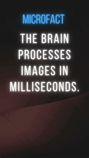 The brain processes images in milliseconds.
