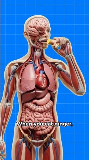 What Happens When You Eat Ginger? Health Effects Explained #health #healtheducation