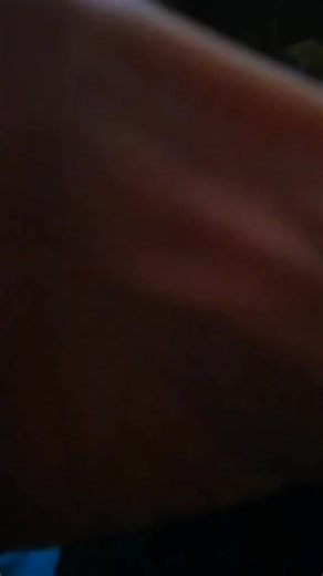 Shauna Sawyer (@shauna_1983)’s videos with original sound - Shauna Sawyer