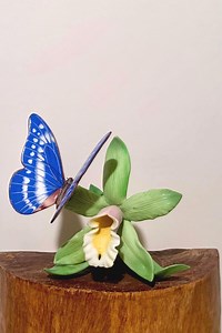 Lenox Rain Forest Dazzler Butterfly Figurine | Nature’s Beautiful Butterflies | Limited Edition - Etsy
