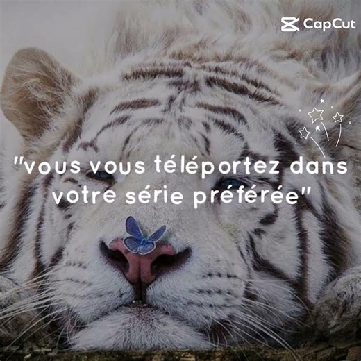 Belford et Lupin 🤩