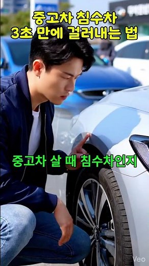 침수차 3초 만에 걸러내는 법 (카히스토리 활용) 🚗🛡️#중고차꿀팁 #카히스토리