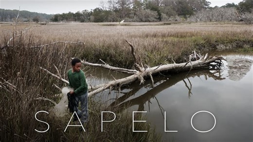 Sapelo (2020)