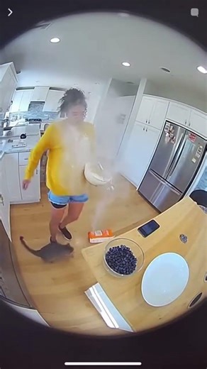 Flour Explosion! Cat’s Hilarious Kitchen Dance Disaster Caught!