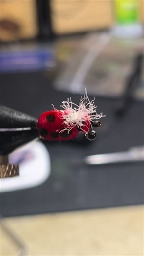 My boy wanted to tie a lady bug so we improvised #flytying | Fly Tying