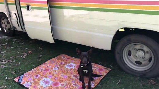 6.2K views · 372 reactions | Our Happy BusStarted the reno during...