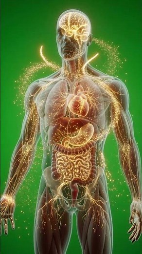 Benefits of Drinking Coffee ☕ #healthbenefits #scienceshorts