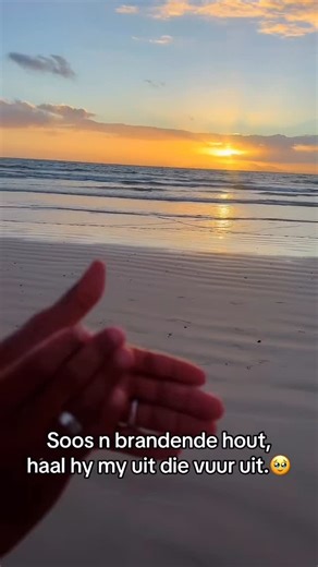 Venzil Paul | Soos n brandende hout het hy my kom red.🥹#jesus #jesuslovesyou #afrikaans | Instagram