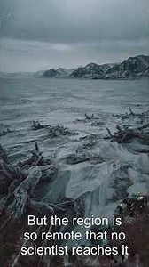 CASE 009 — TUNGUSKA. The Largest Explosion in History Left No Crater. 80 Million Trees Fell