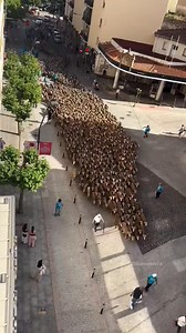 13K views · 66 reactions | Sheep Farming Tradition In Iceland | Mind Feeder | Facebook